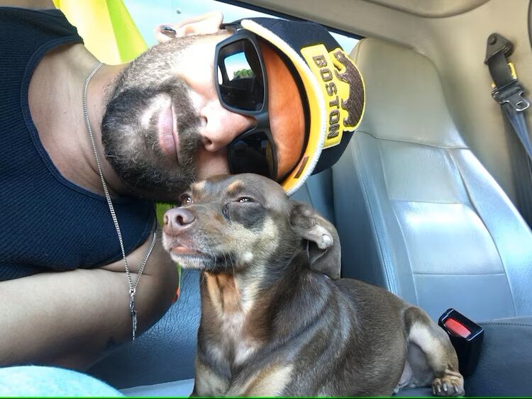 Paul Guilbeault dog 2